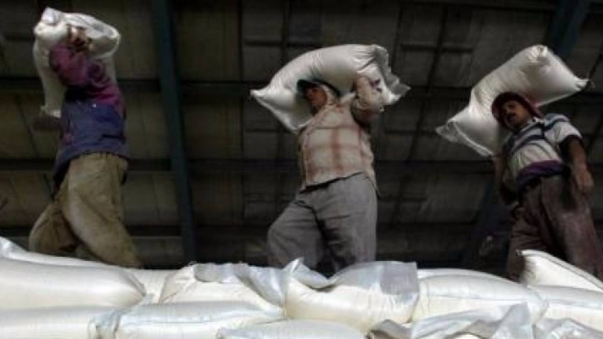 مناقصة لشراء 100 ألف طن من القمح الصلد