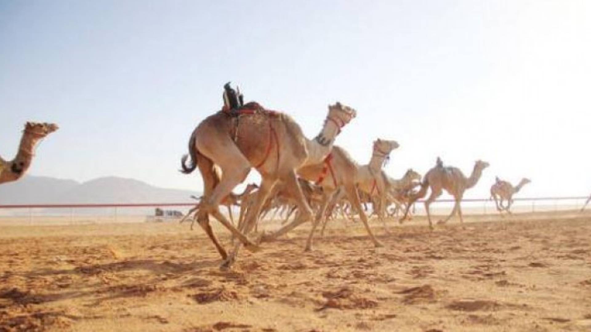 تعبيرية
