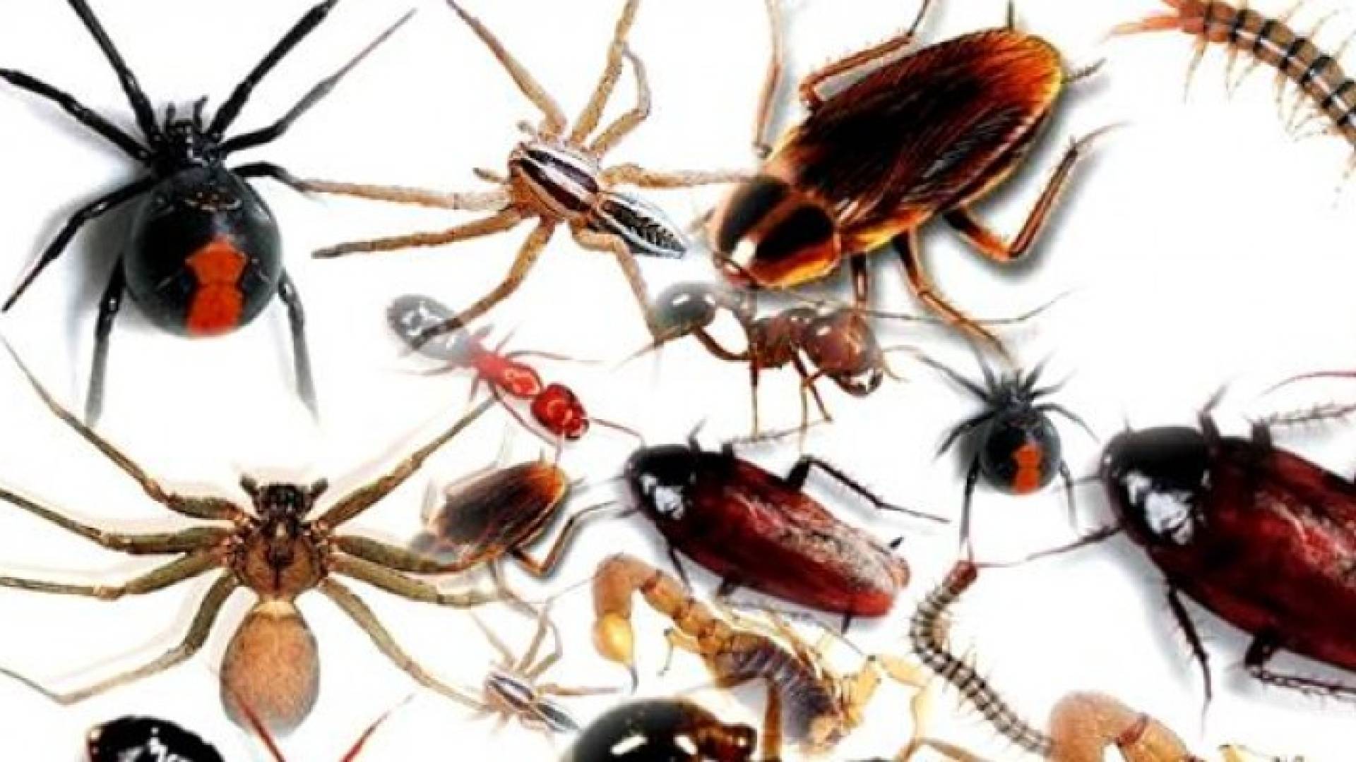 الصورة تعبيرية