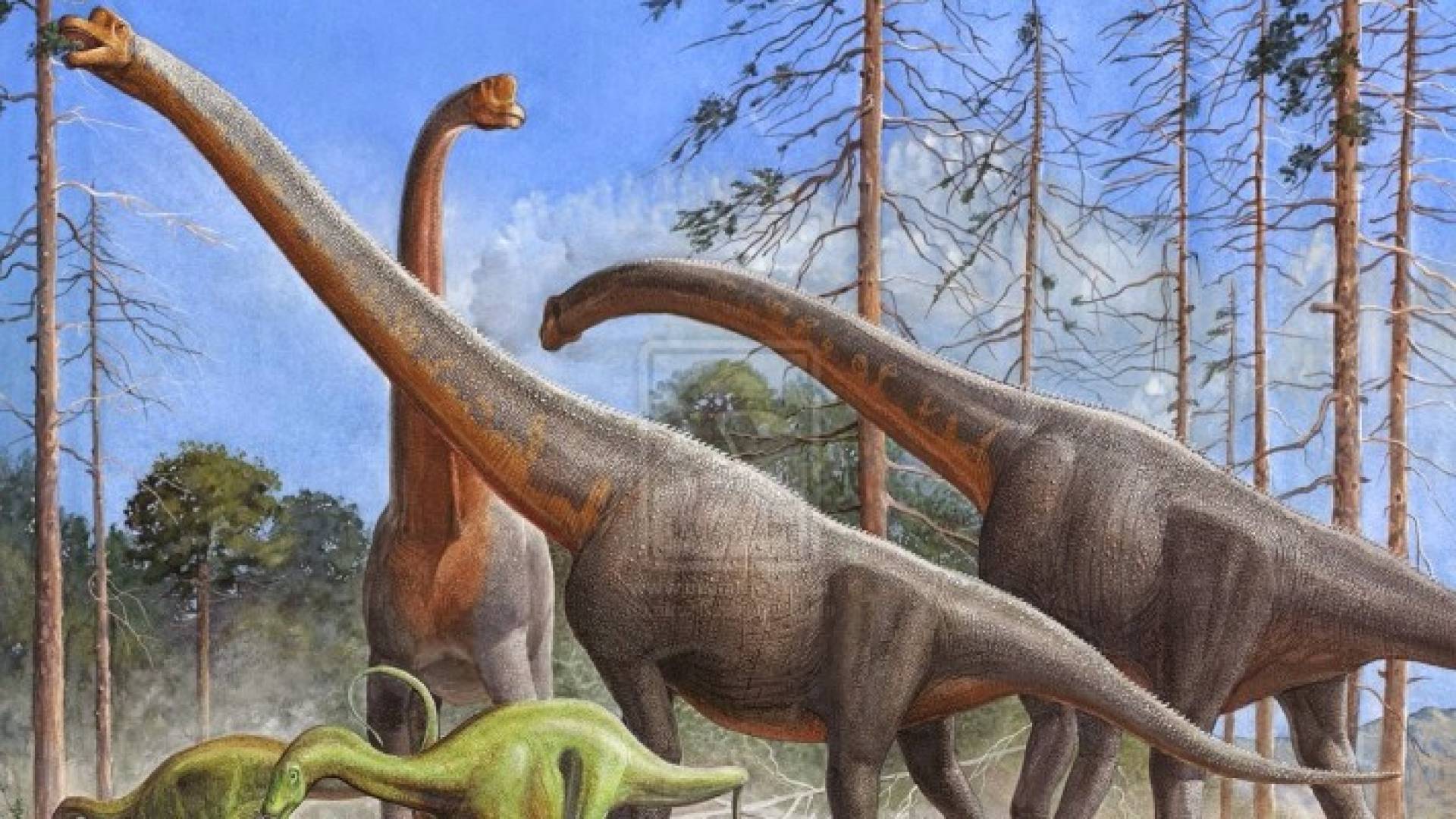 دراسة : الديناصورات إنقرضت بسبب ارتطام كويكب بحقل نفط في المكسيك