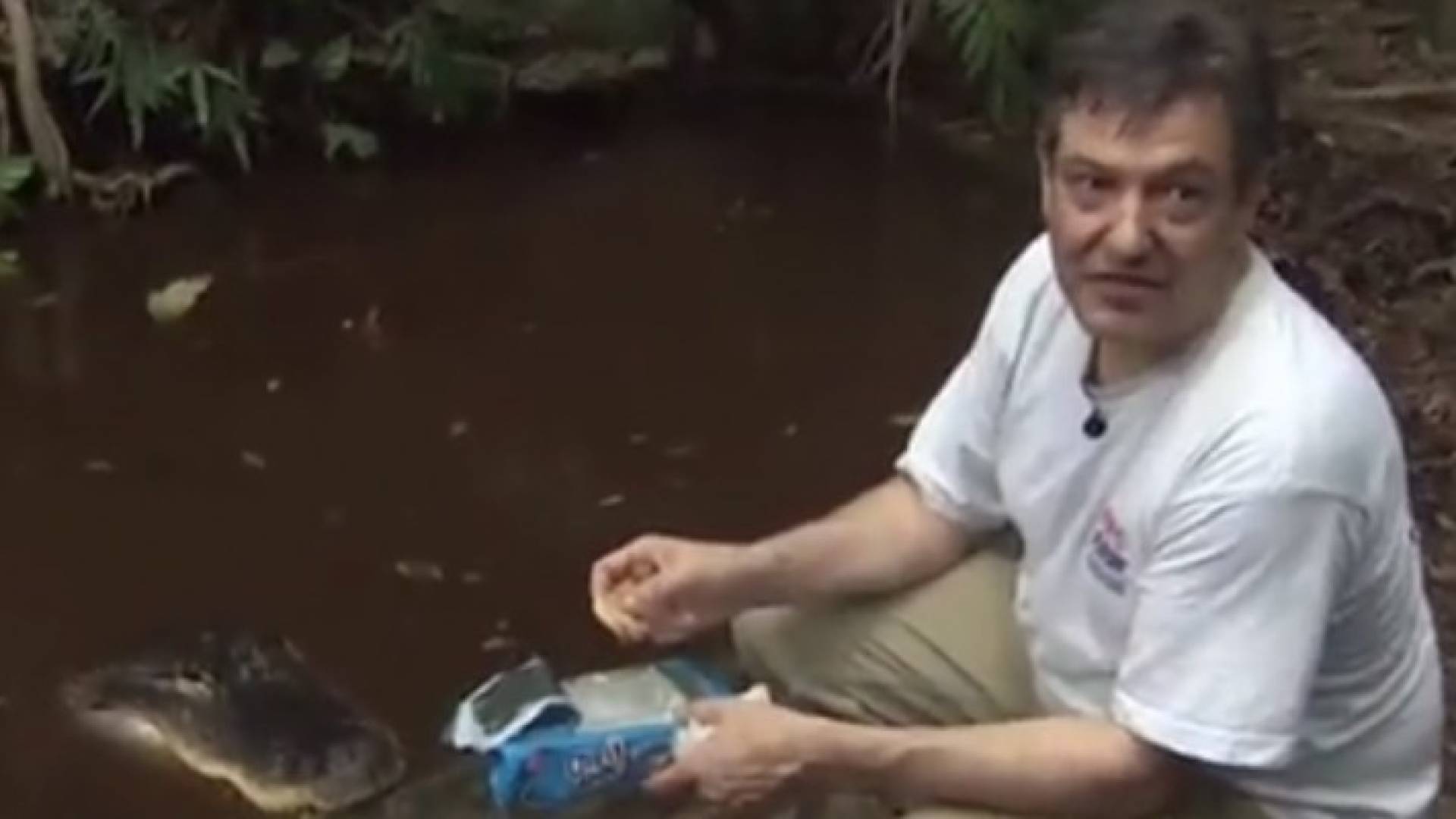 رجل يعيش مع تمساح "عاشق للبيتزا" في فلوريدا