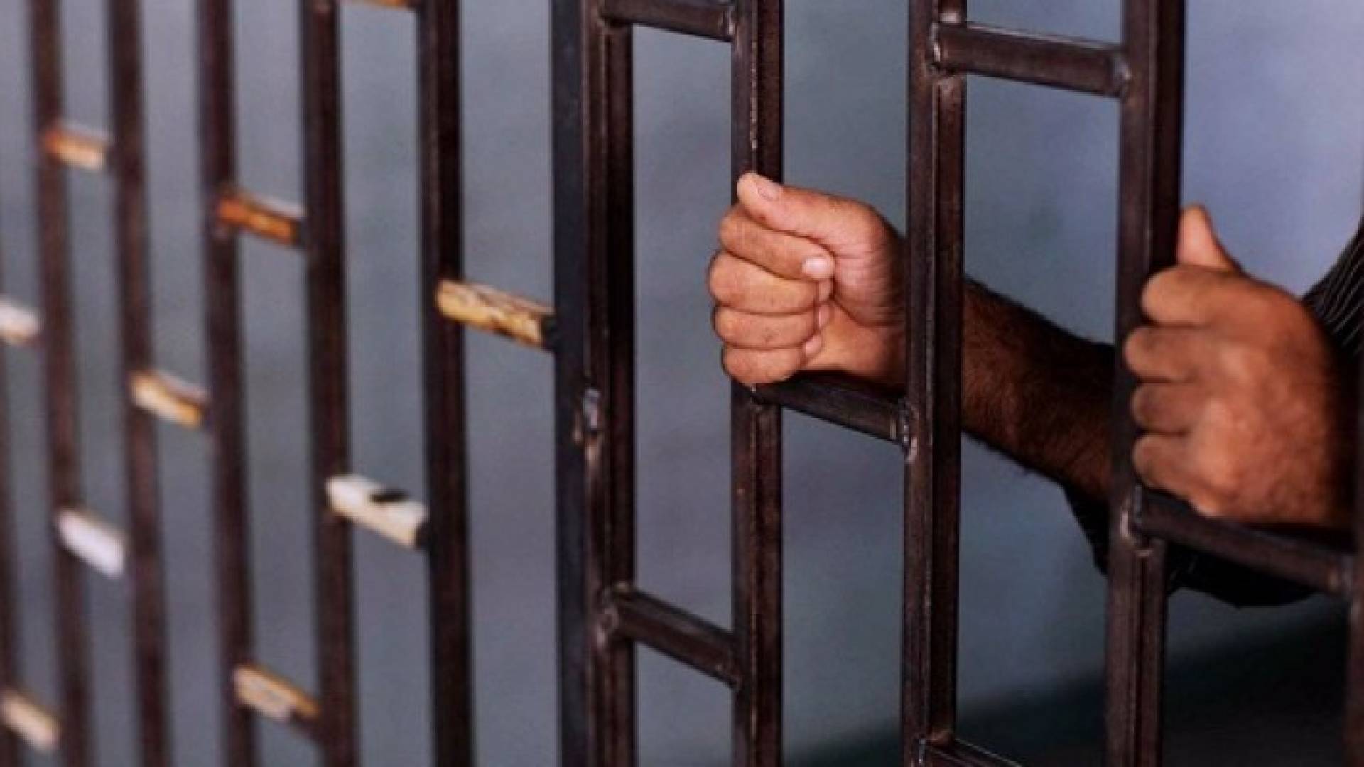 أحكام بقضايا بورصات وهمية تعود 2753 مواطنا .. تفاصيل