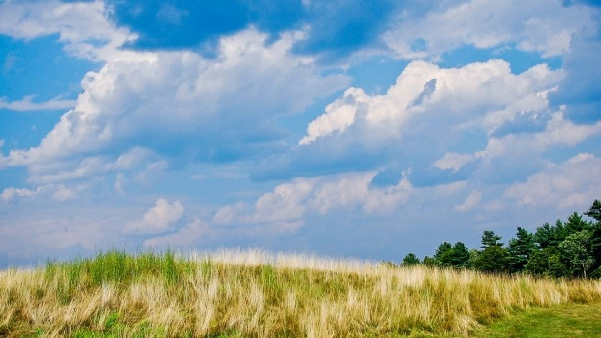 الاربعاء: أجواء صيفية اعتيادية نهارا و لطيفة ليلا