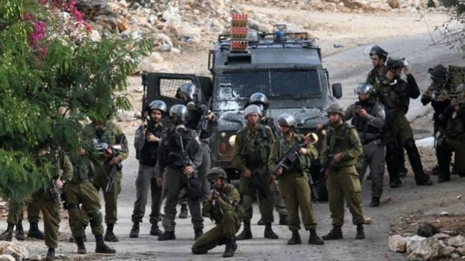 الصورة ارشيفية