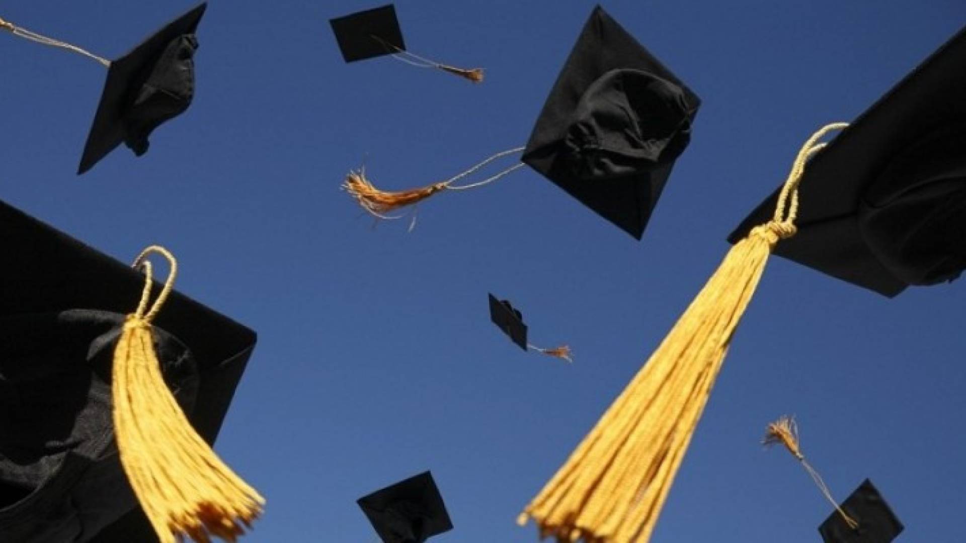 تخرج اول لاجئ سوري من جامعة آل البيت