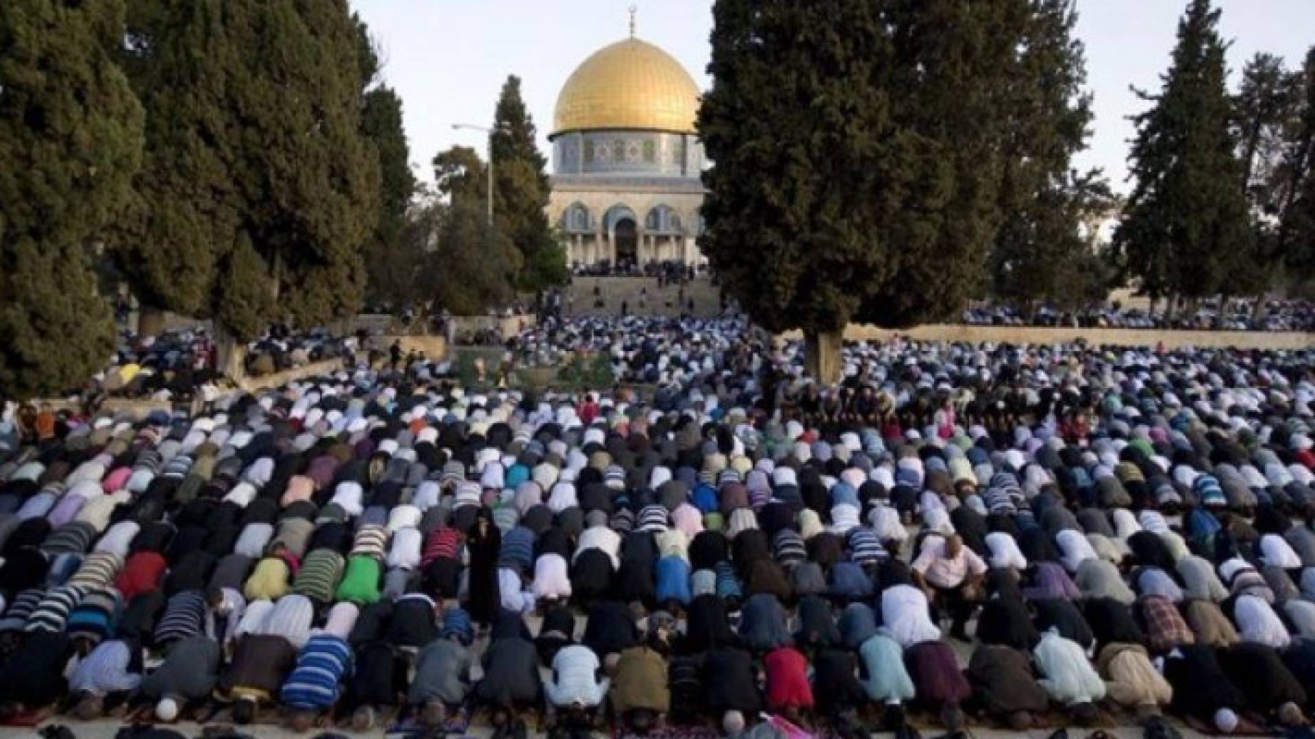 250 مصل من قطاع غزة يتوجهون للصلاة في الاقصى