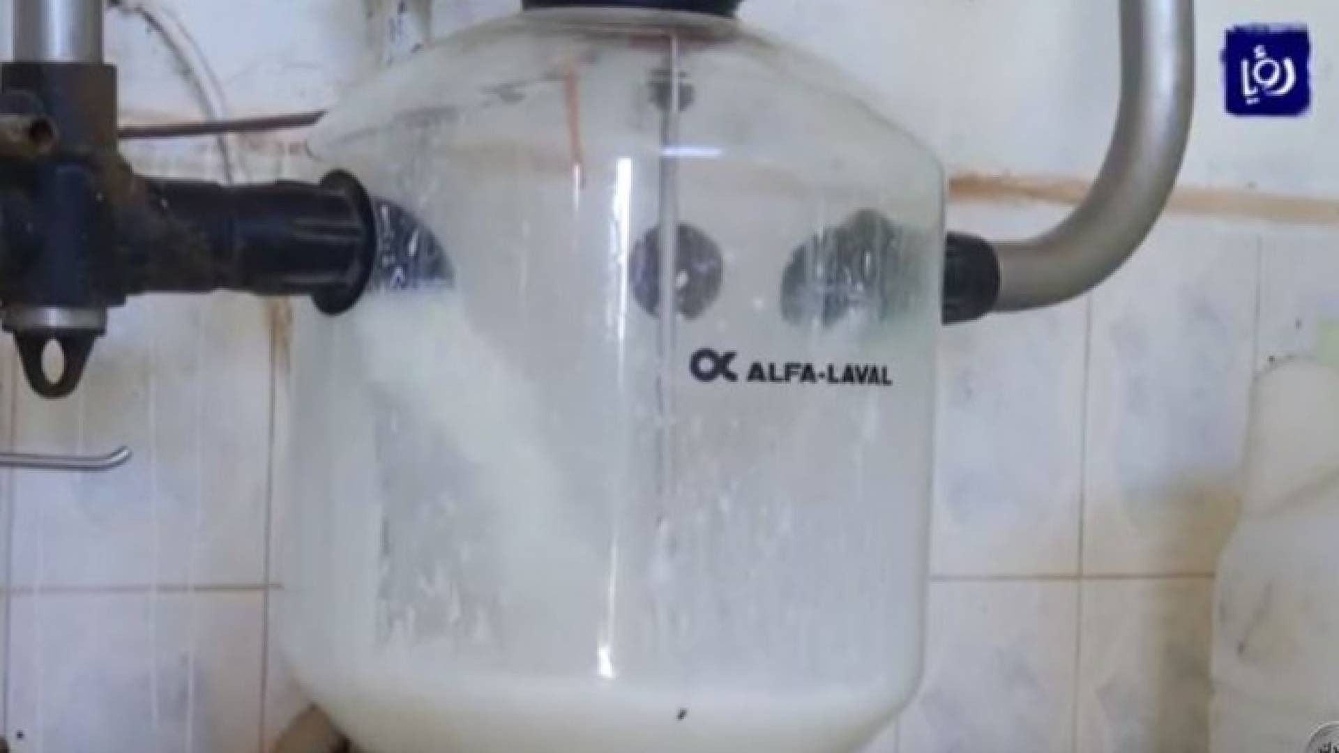 ملف الأسبوع: قطاع مربي الأبقار تحت المجهر