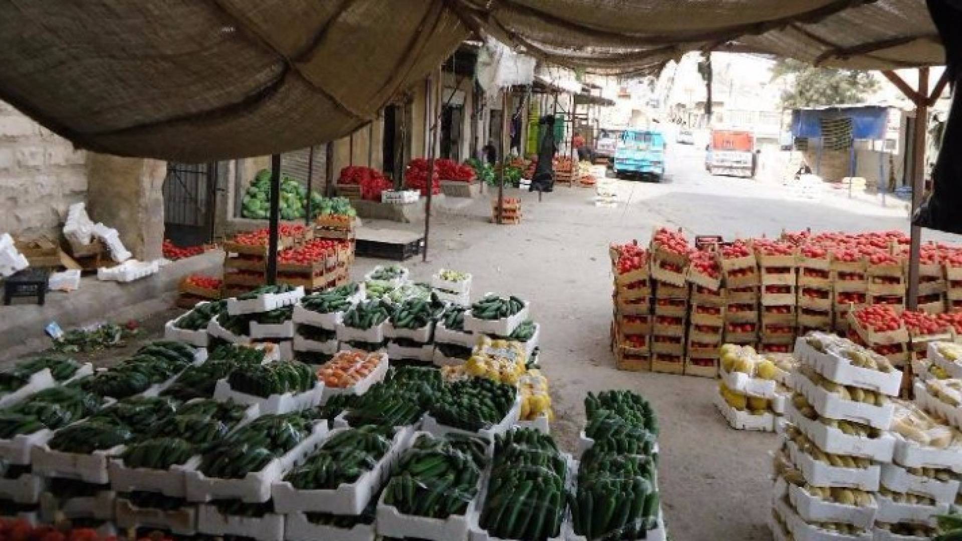 2861 طن خضار وفواكه ترد السوق المركزي اليوم