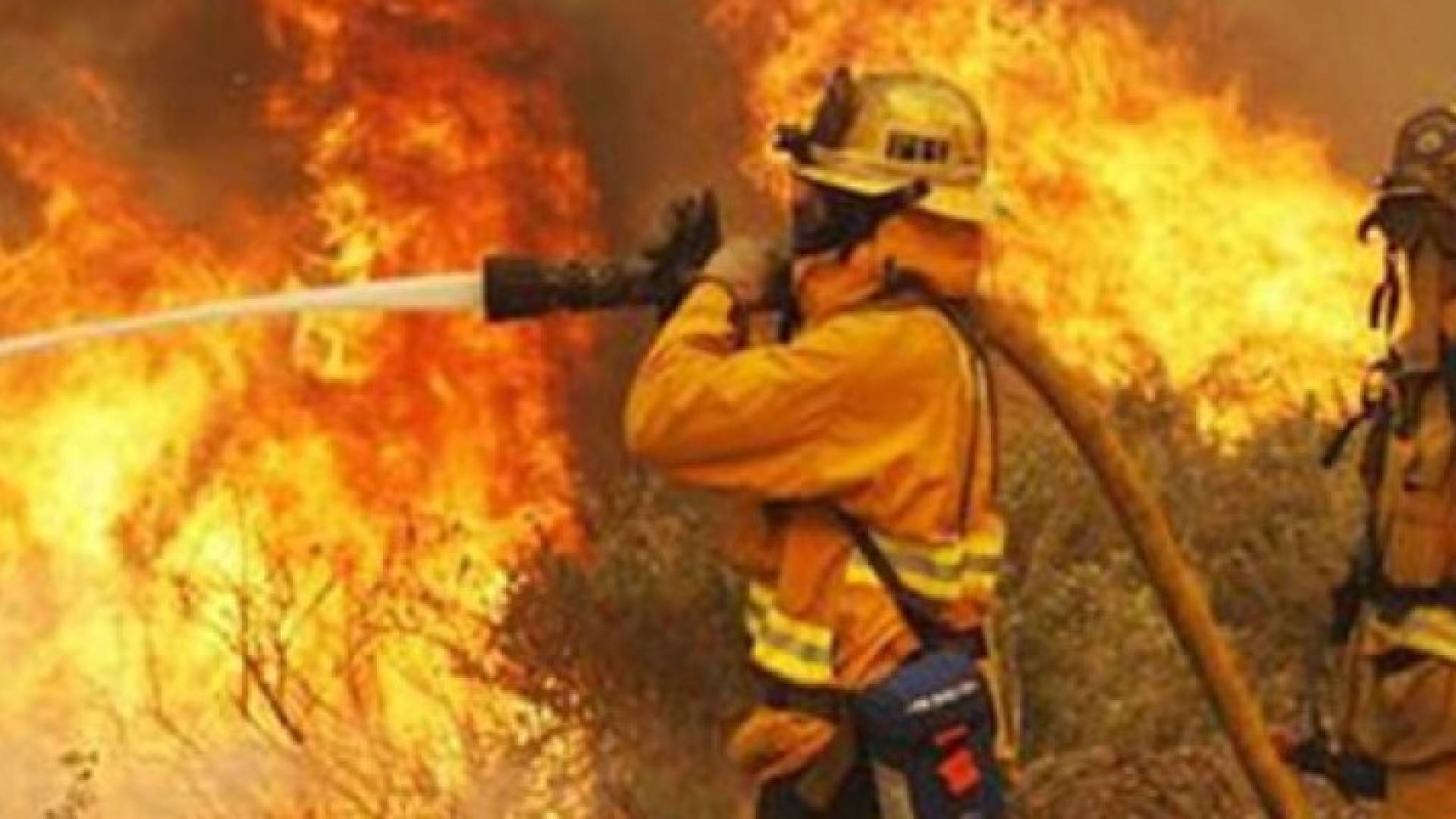 عمان: الدفاع المدني يطفئ حريقا شب في مجمع تجاري بحي نزال