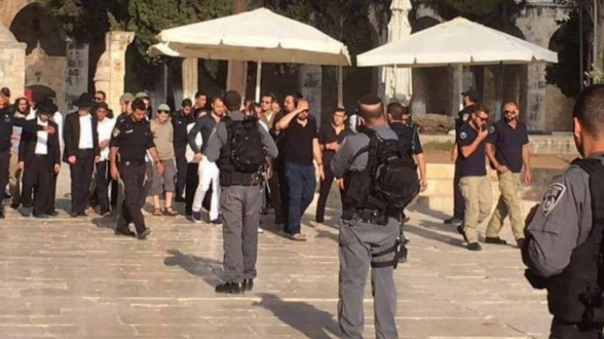 54 مستوطنا يقتحمون الأقصى بحراسة مشددة