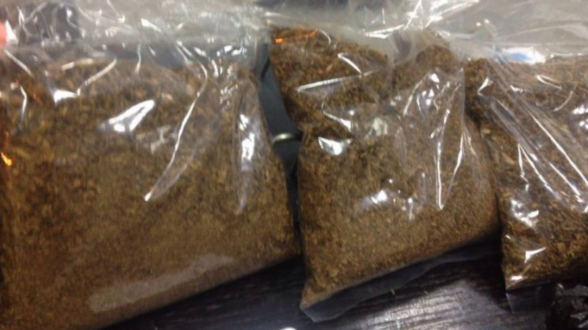 بالصور: مكافحة المخدرات تواصل حملاتها وتضبط 140 شخصا