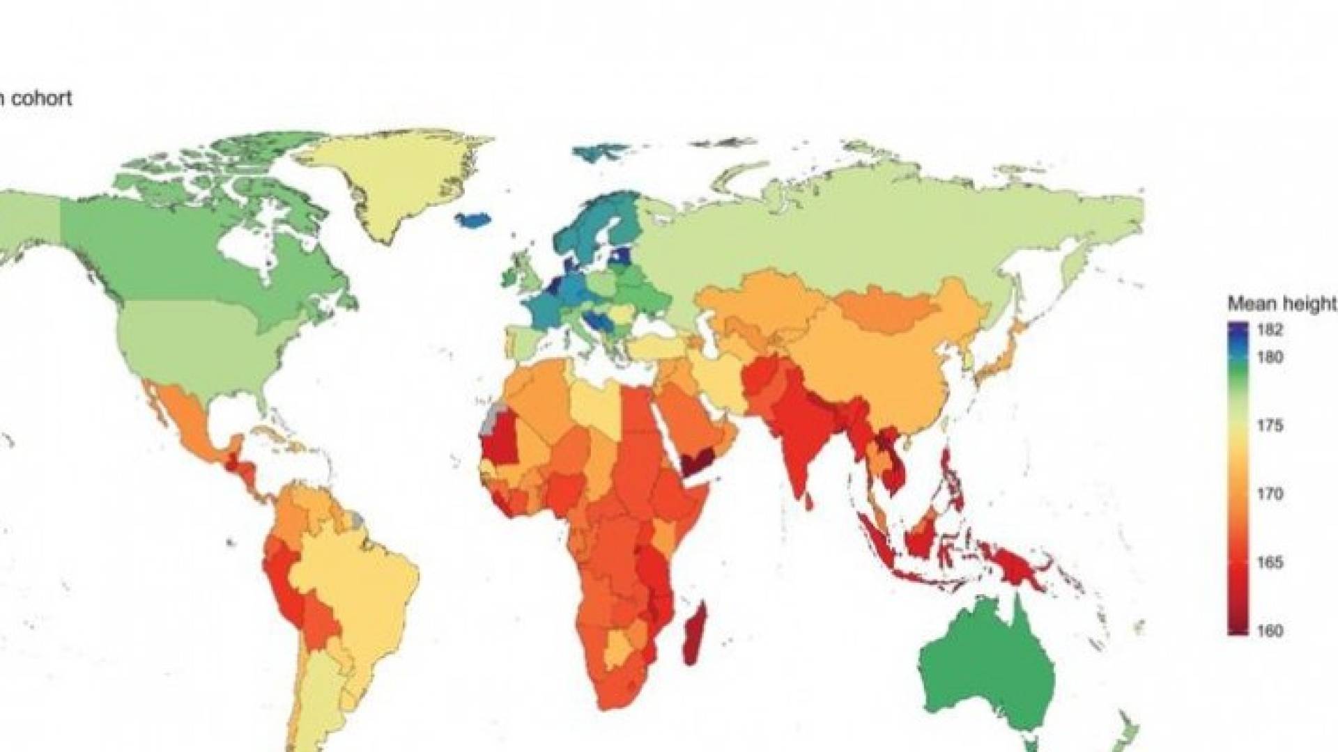 من هم الرجال والنساء الأكثر طولا في العالم؟