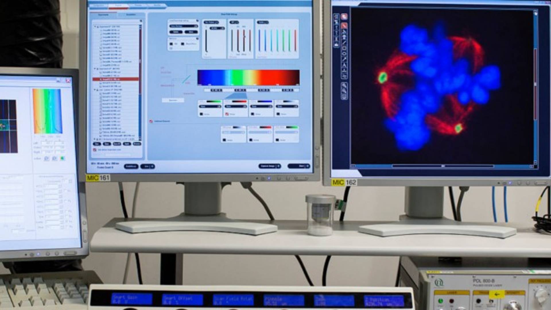 دراسة: تحفيز الجهاز المناعي الطريقة المثلى لمحاربة السرطان