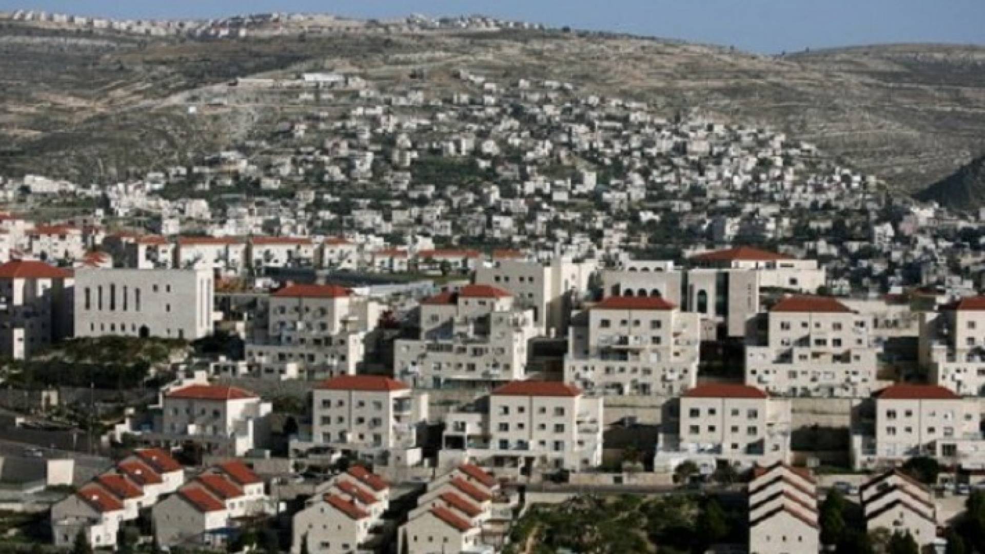 الصورة ارشيفية