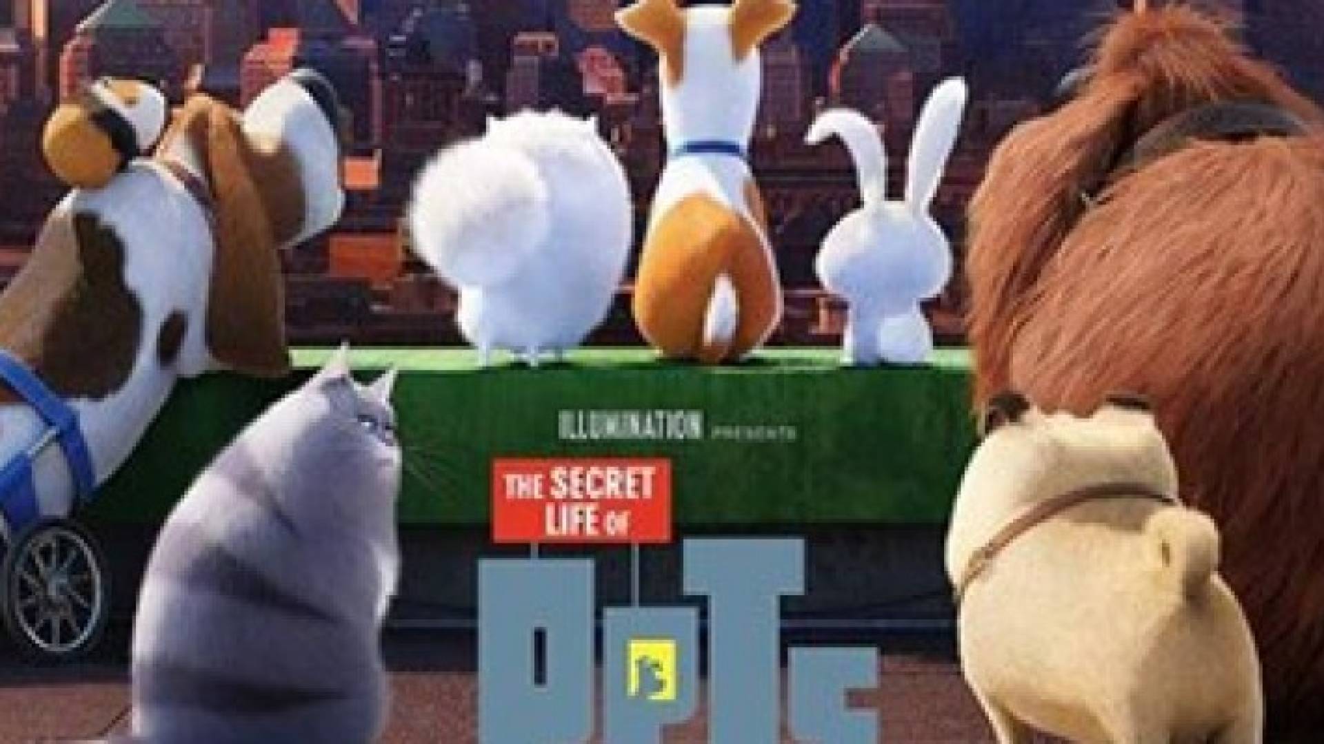 السماح للحيوانات الأليفة بحضور العرض الأول لفيلم رسوم متحركة في إسبانيا