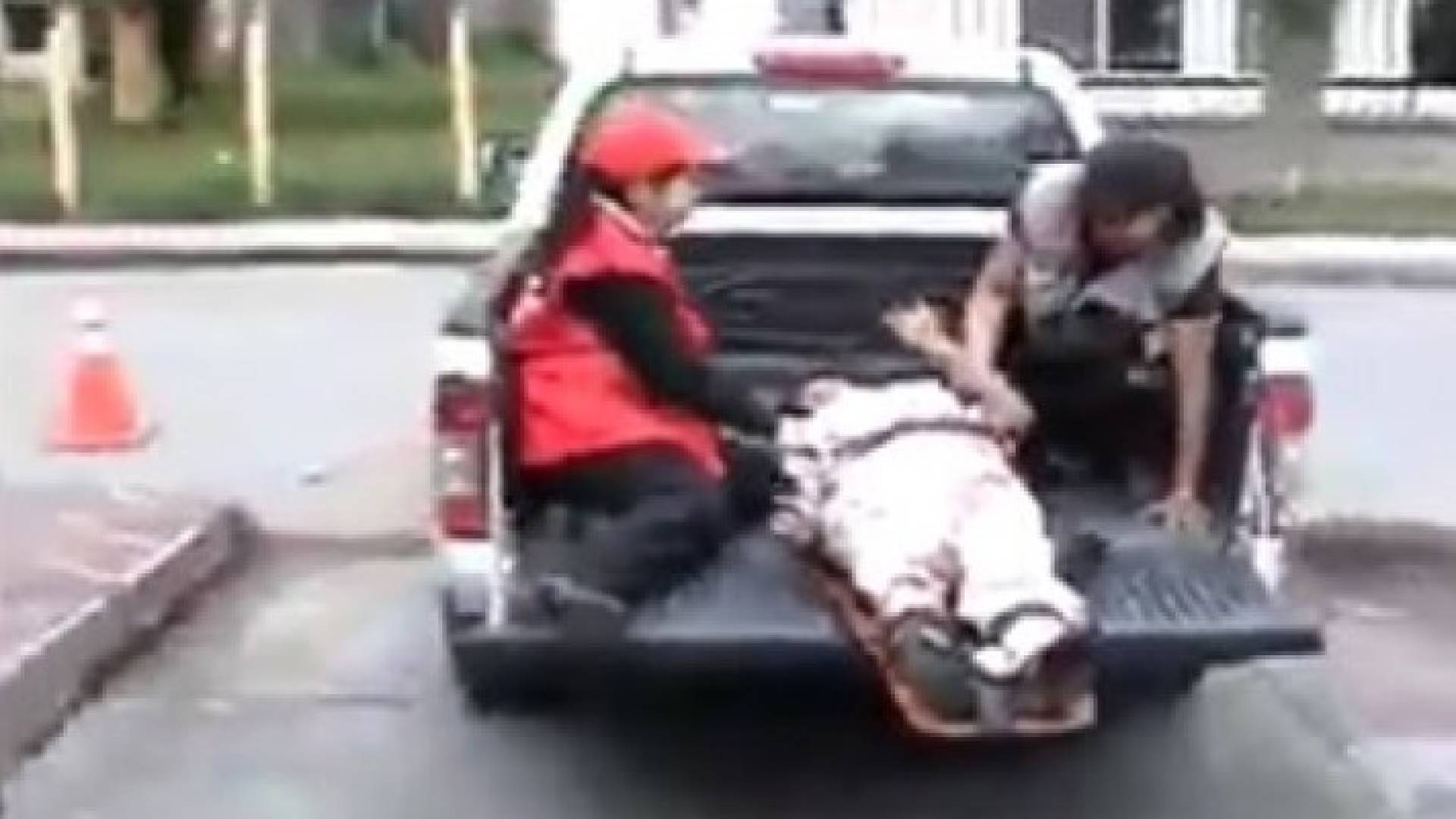 بالفيديو.. شاهد أطرف أخطاء المسعفين