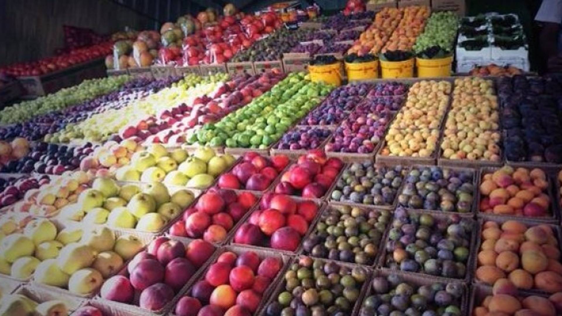 أسعار الخضار والفواكه ليوم الثلاثاء