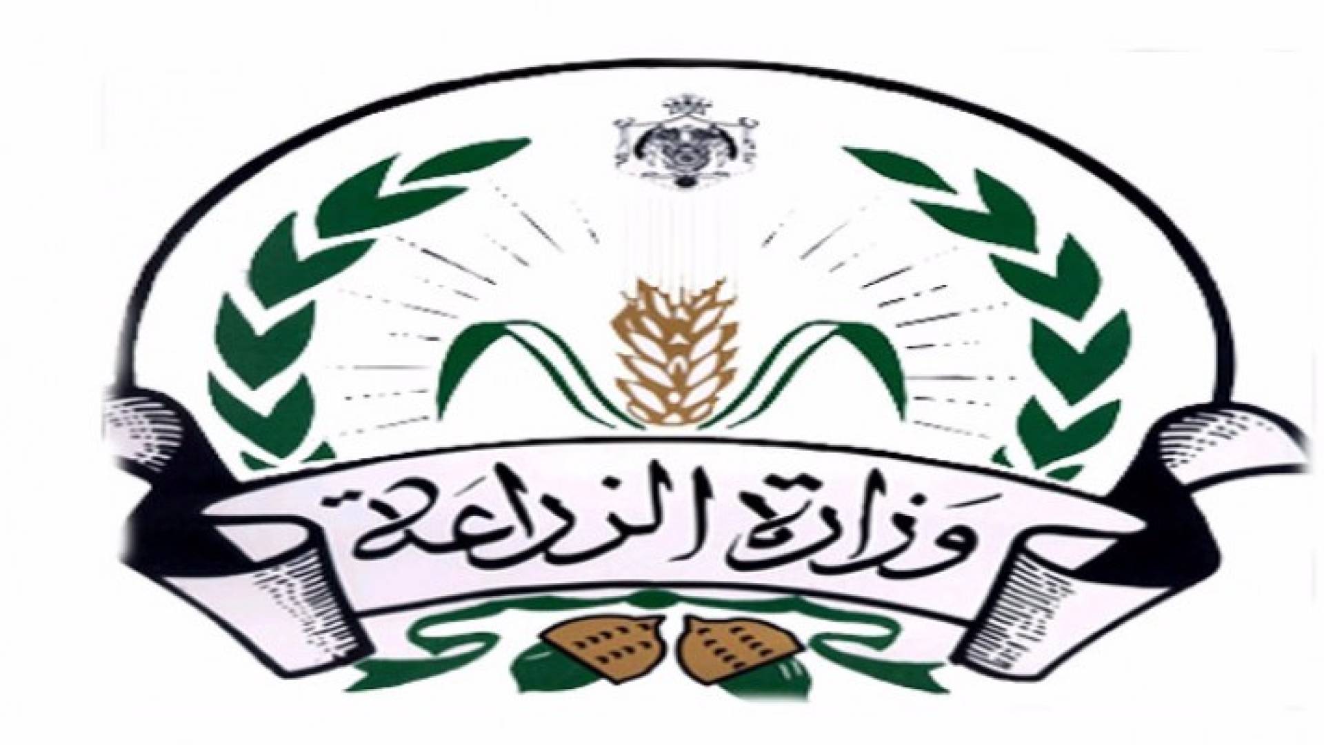 رفض ادخال 374 طن من المنتجات الزراعية غير مطابقة للمواصفات