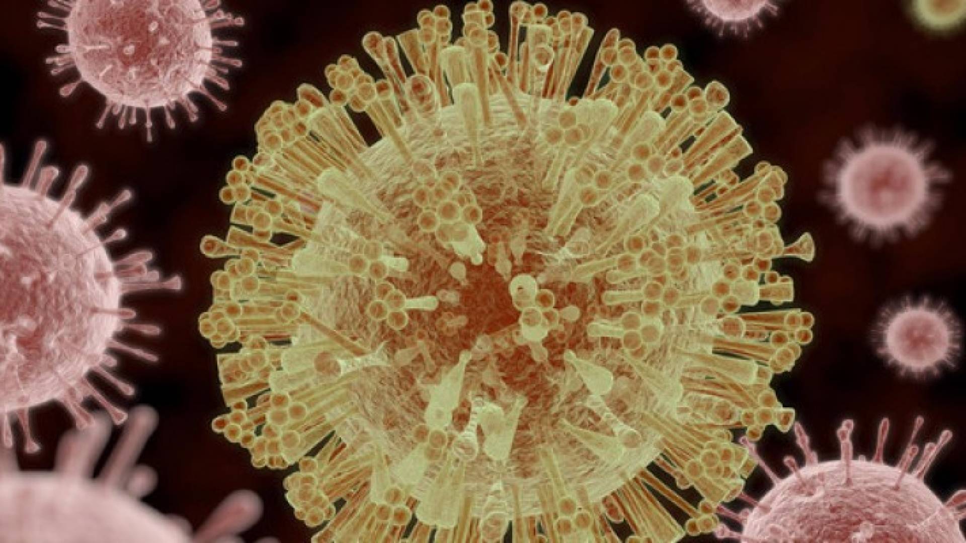 أميركا: زيكا يقتل أول طفل في ولاية تكساس