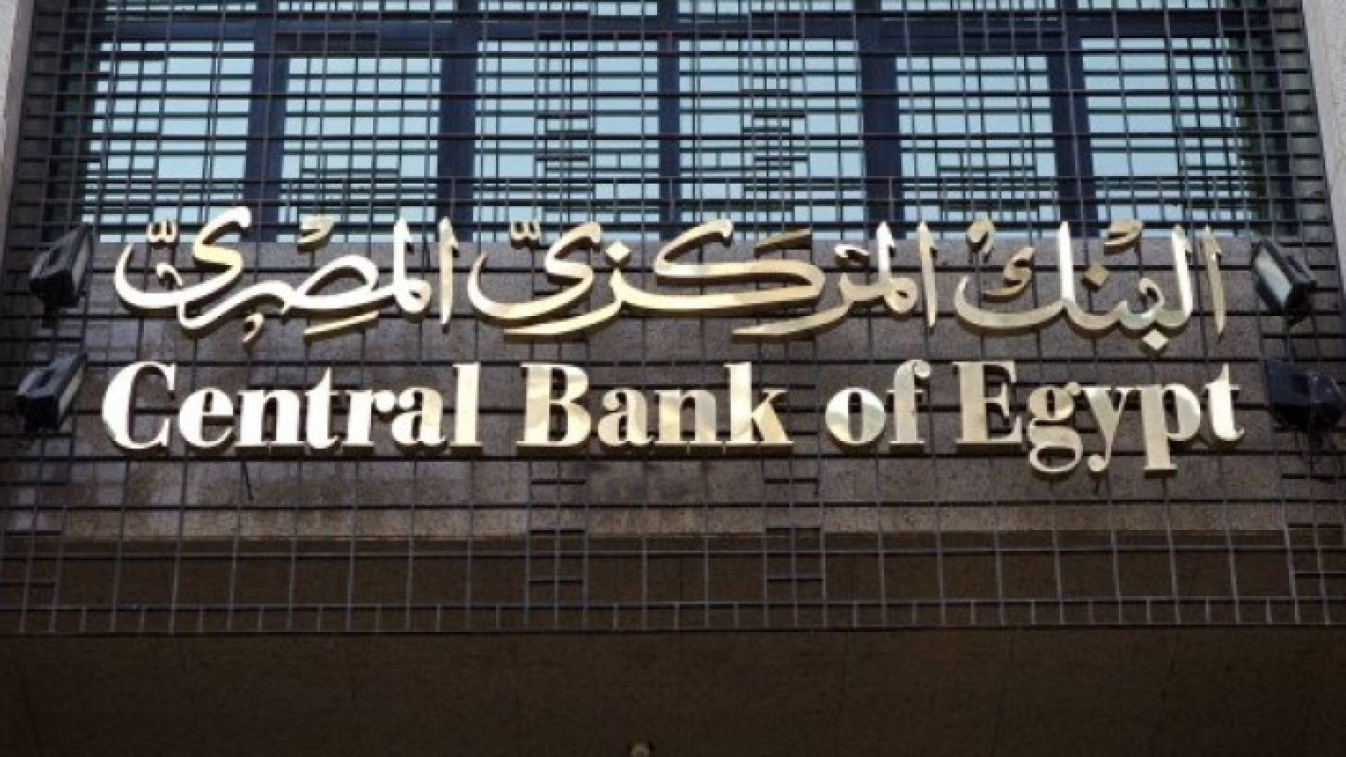 "المركزي المصري" يغلق 48 شركة صرافة لتلاعبها بالعملة.. فيديو