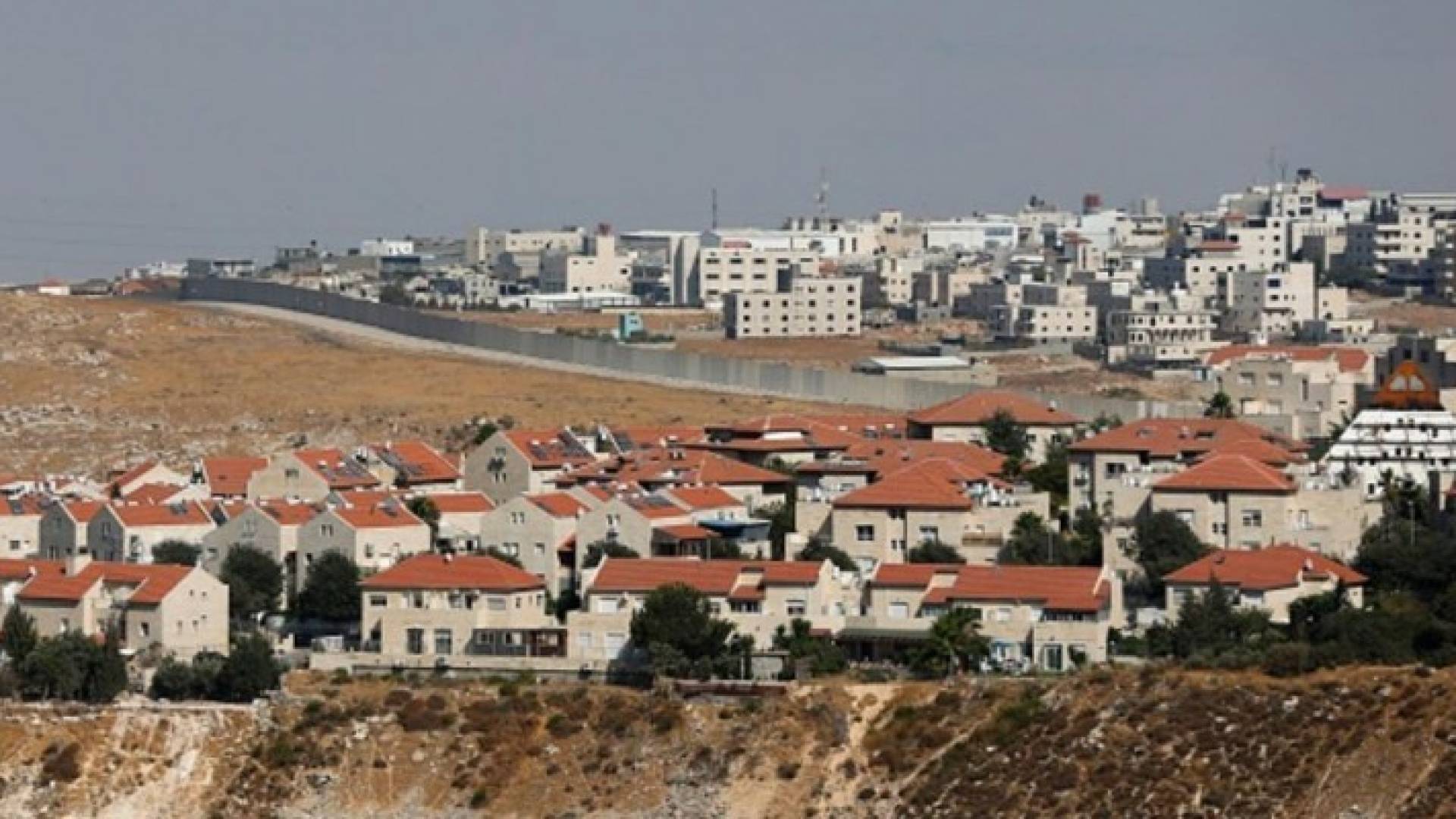 الإحتلال يعتزم نقل مستوطنة إلى أراض فلسطينية