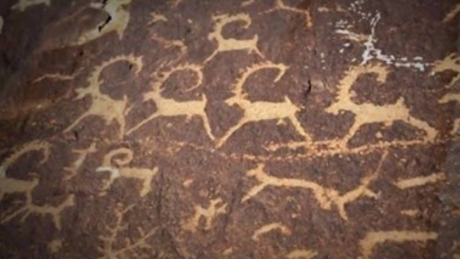 صدفة ولعبة ضوء تقود لاكتشاف نقوش أثرية على سواحل هاواي