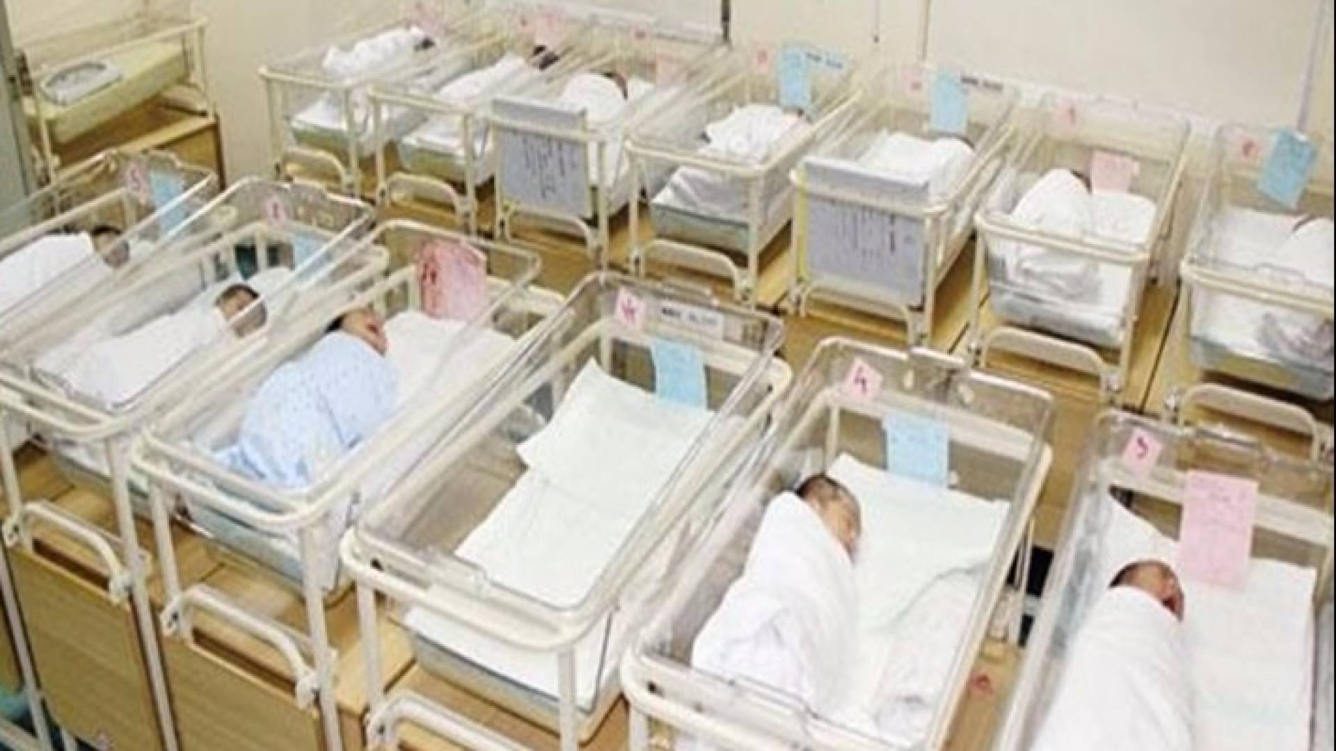 143 مولود يوميا في غزة