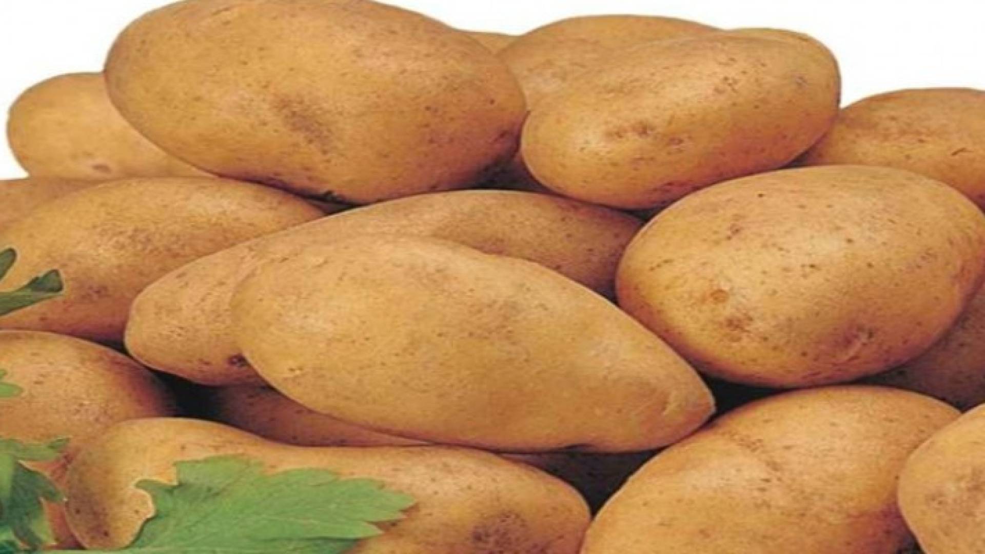 اربد: اتلاف 1.5 طن بطاطا غير صالحة في أحد المولات