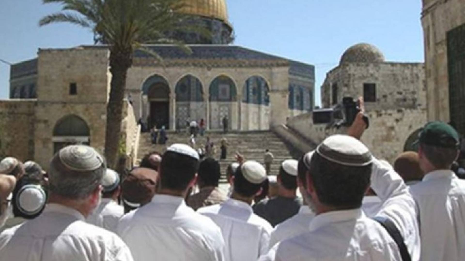 عربيات يشجب الاعتداءات الاسرائيلية في المسجد الاقصى المبارك