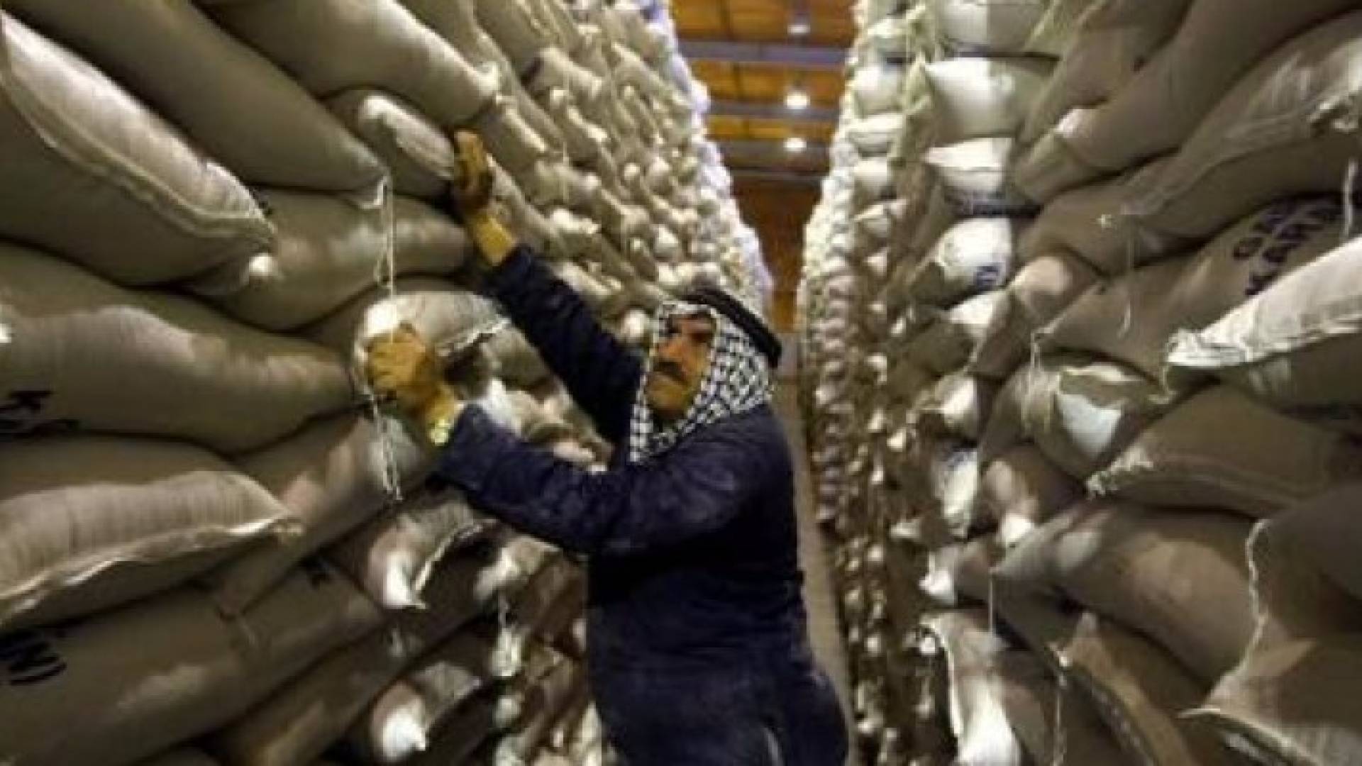 الأردن يطرح مناقصة لشراء 100 ألف طن من القمح
