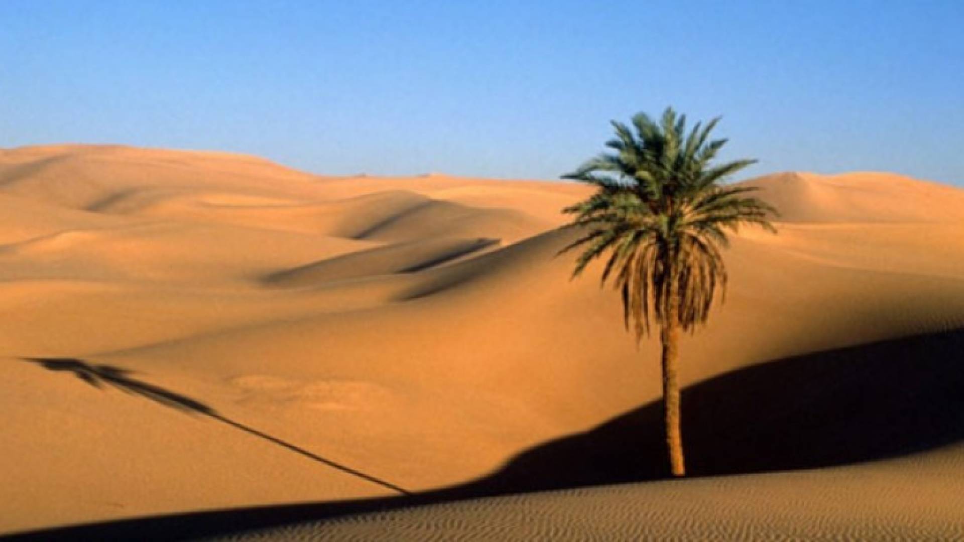 السعودية: اكتشاف أقدم عظم بشري عمره 90 ألف سنة