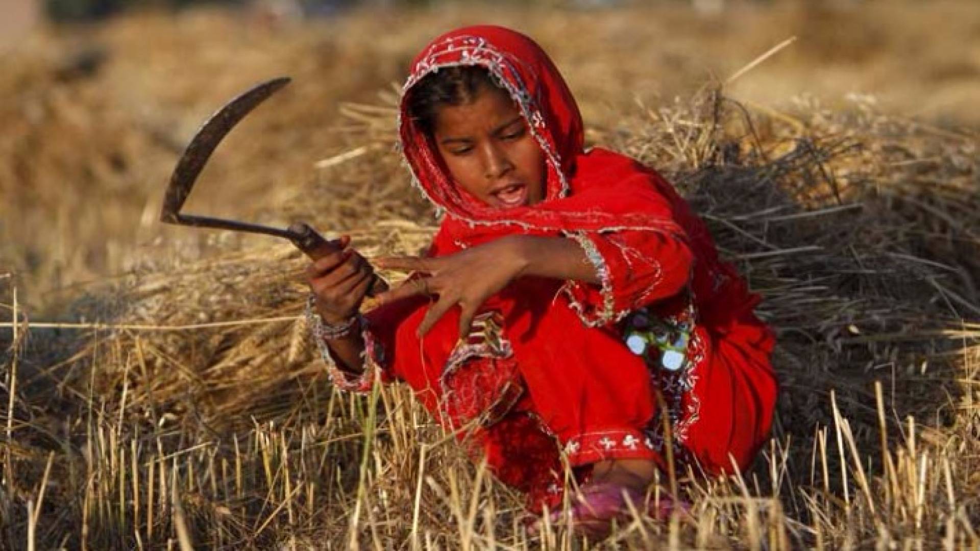 تضامن: 8868 طفلة عاملة في الأردن