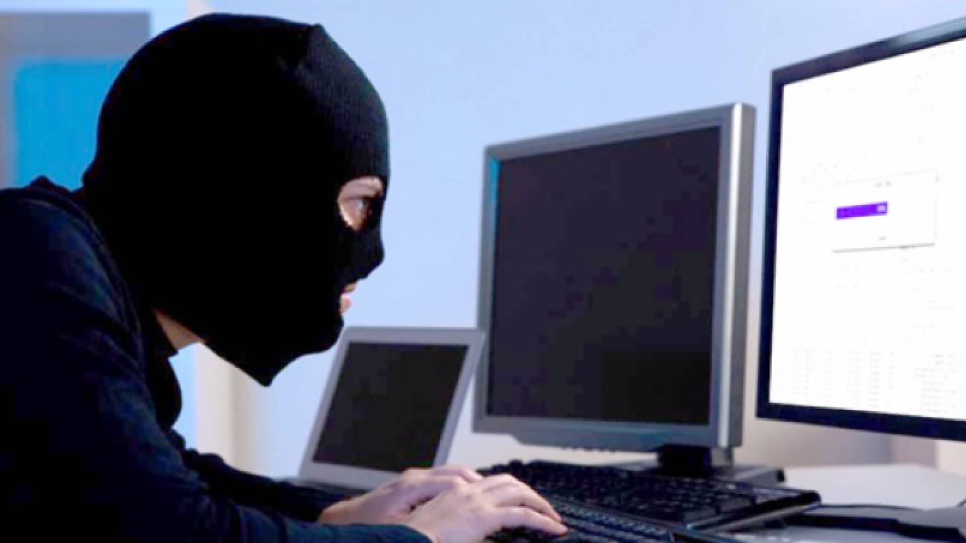 الجرائم الالكترونية تتعامل مع 2313 قضية عام 2015