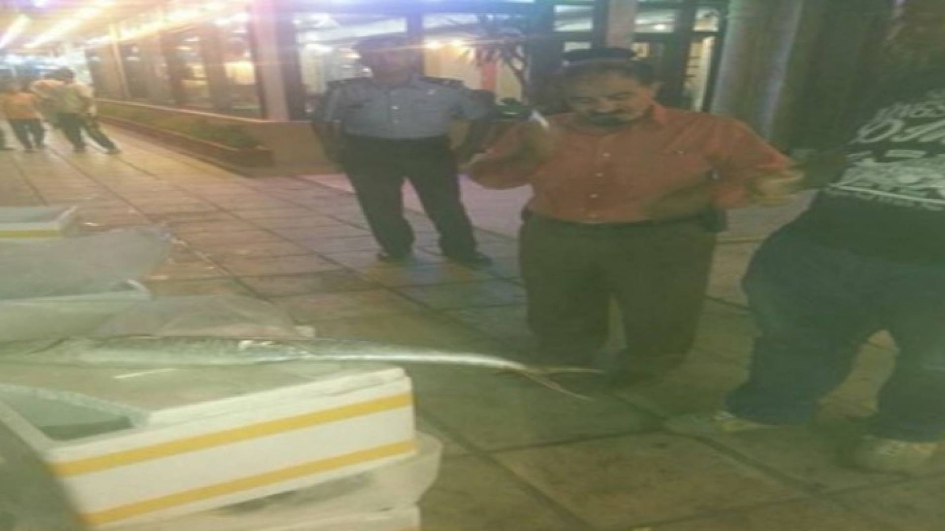 اربد : اتلاف نصف طن اسماك ودواجن وتنسيب باغلاق 35 محلا