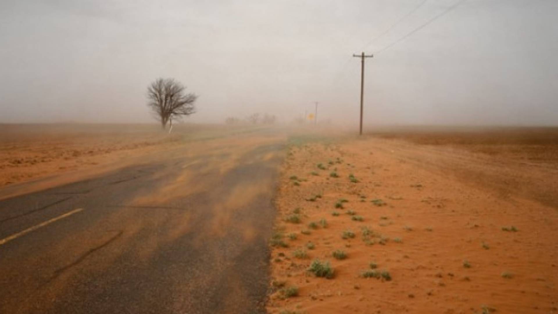 الثلاثاء: طقس صيفي اعتيادي وأتربة مثارة أقصى شرق المملكة