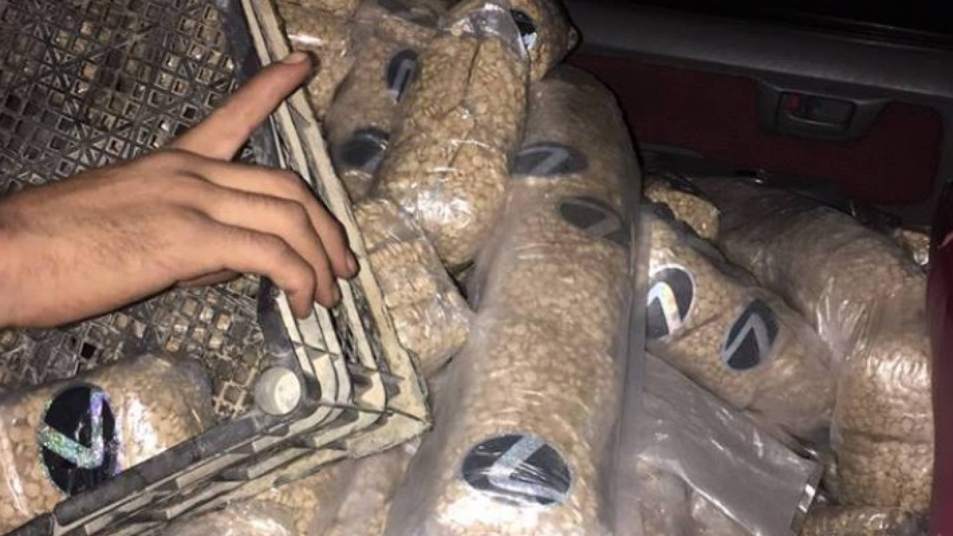 ضبط 4.3 مليون حبة مخدرة مخبأة ببرادات فواكه بميناء العقبة .. صور