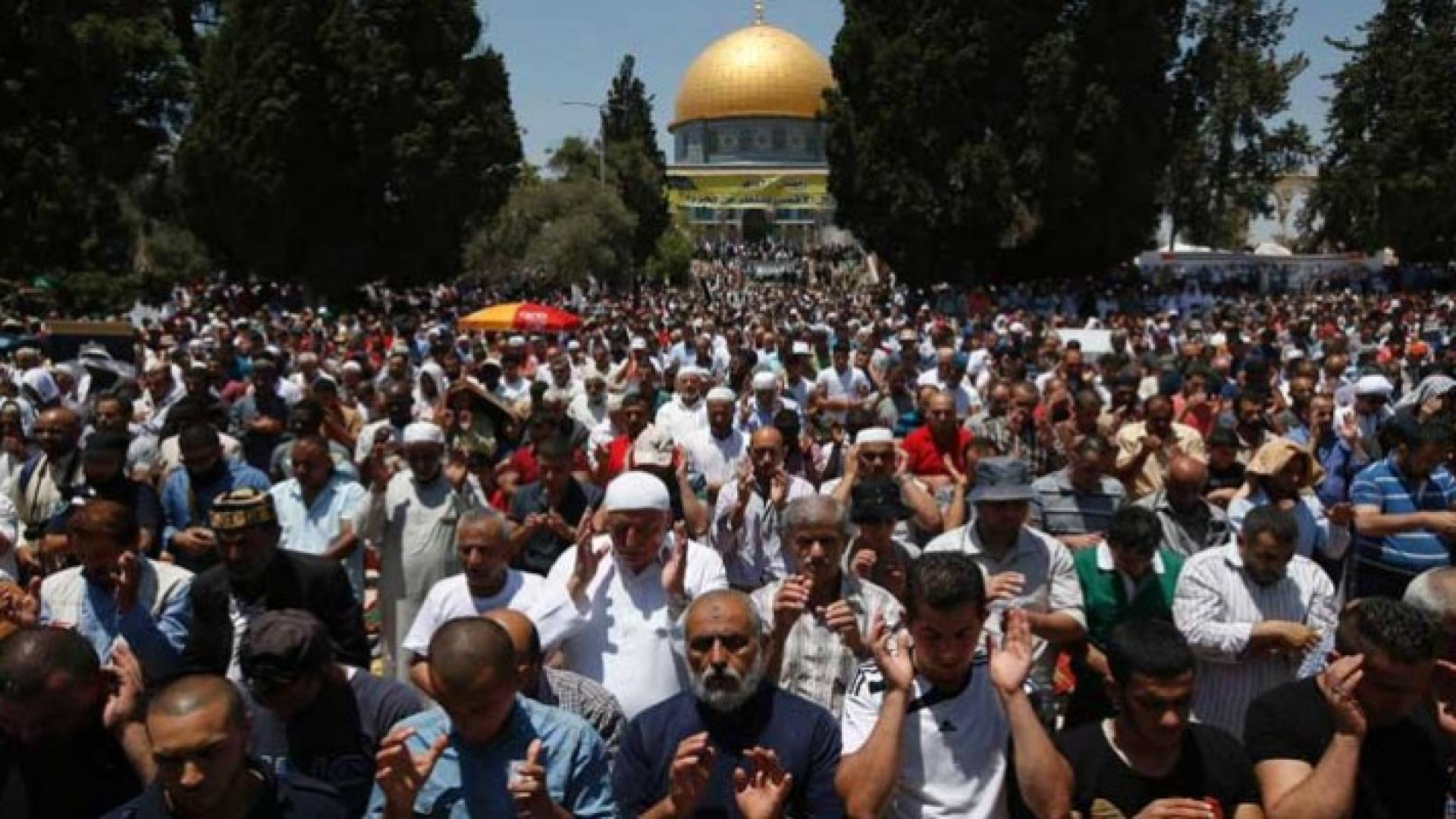 الصورة ارشيفية