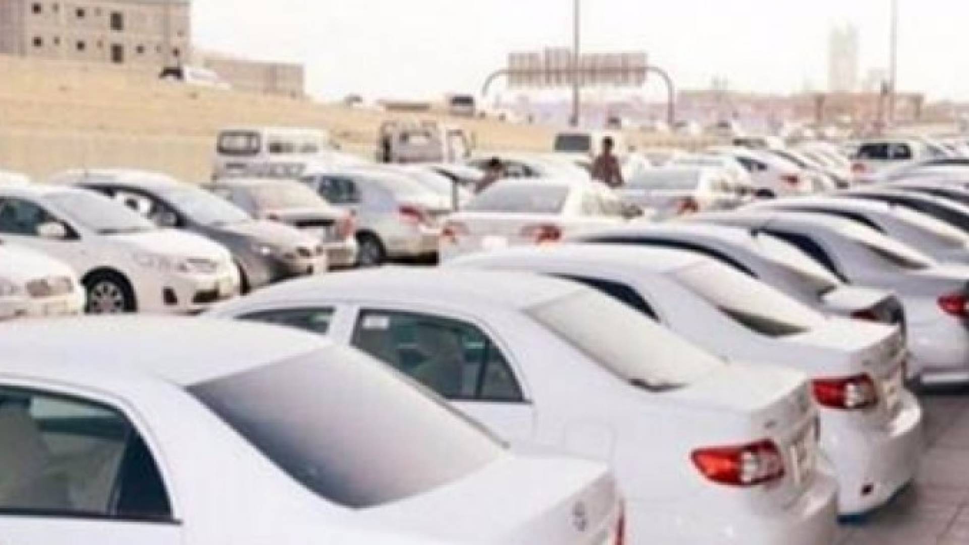 تفاصيل نظام رخص وتسجيل المركبات .. وثائق