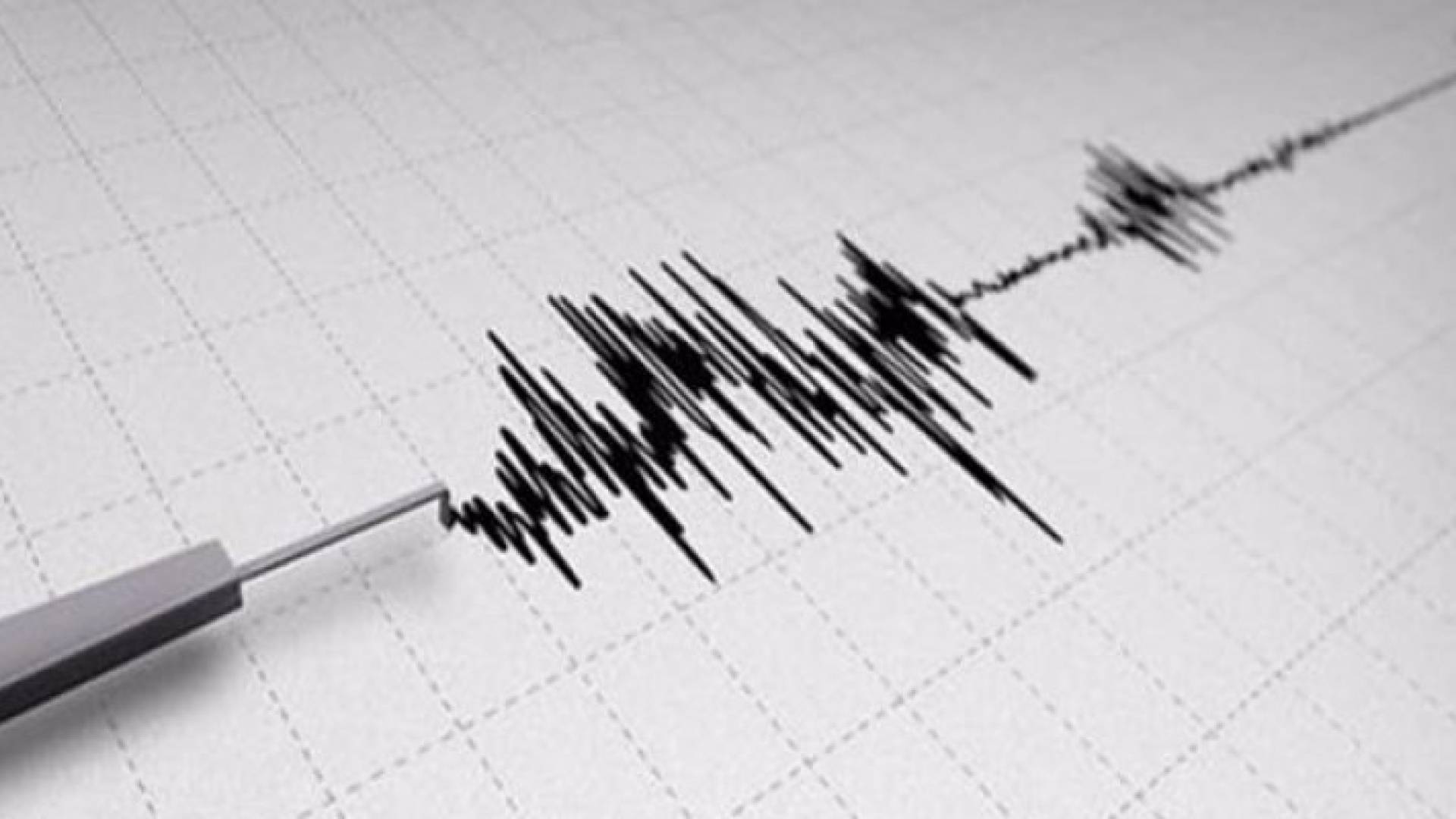 هزة أرضية في بحر العرب