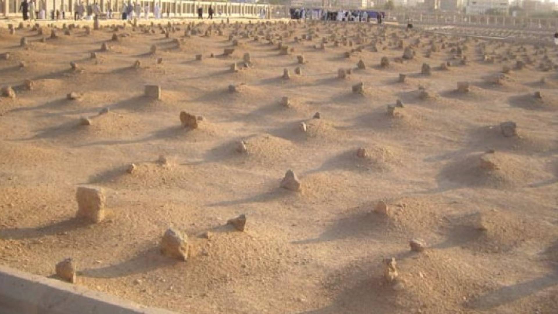 أشهر مقبرة.. ضمت آخر سلطان عثماني وملك ليبيا وشيخا للأزهر