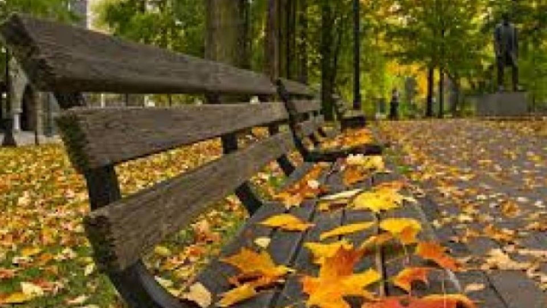 30 يوما تفصلنا عن بدء الخريف فلكيا