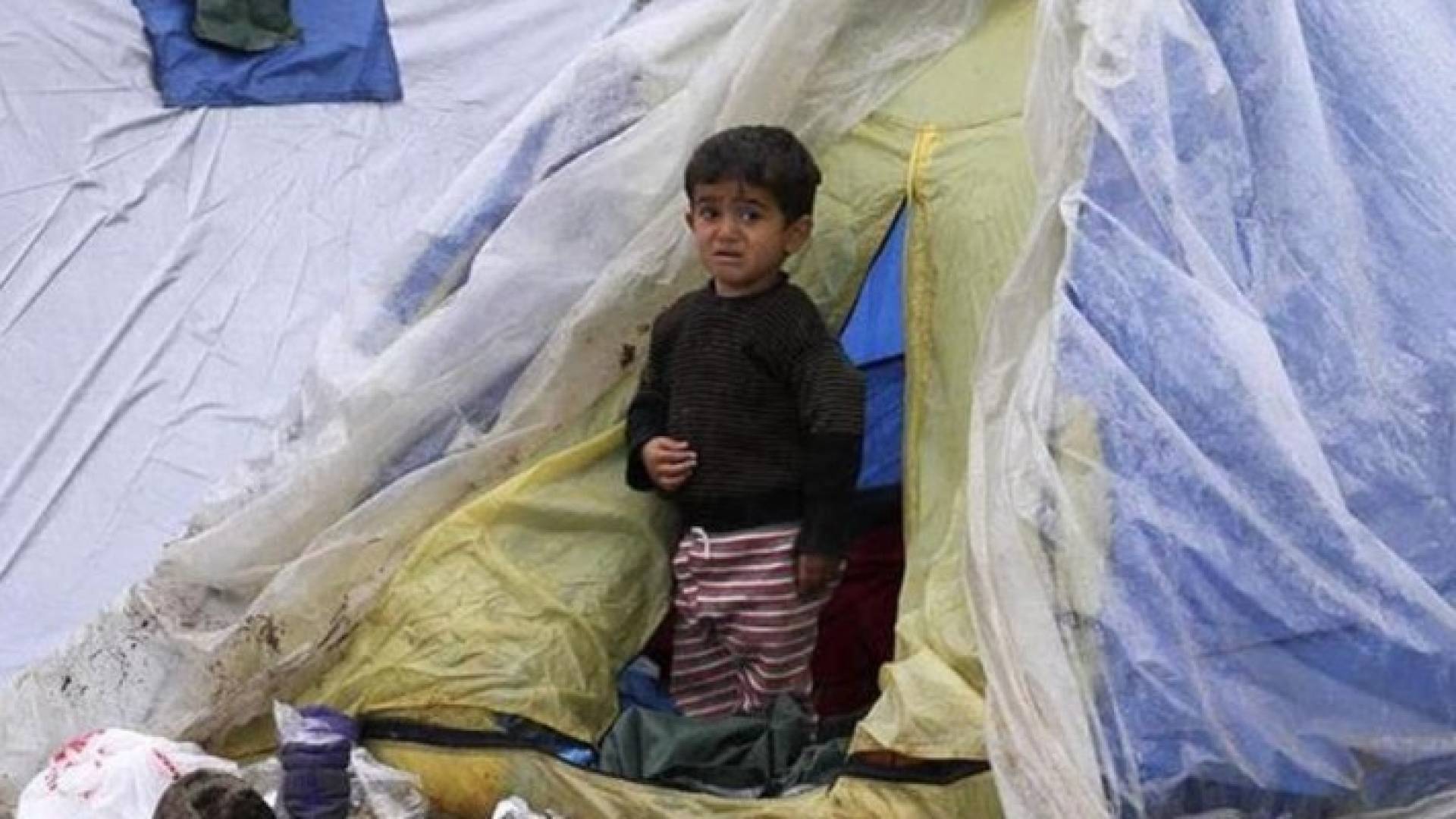 ألمانيا تتوقع انخفاضا كبيرا في أعداد اللاجئين خلال العام الحالي