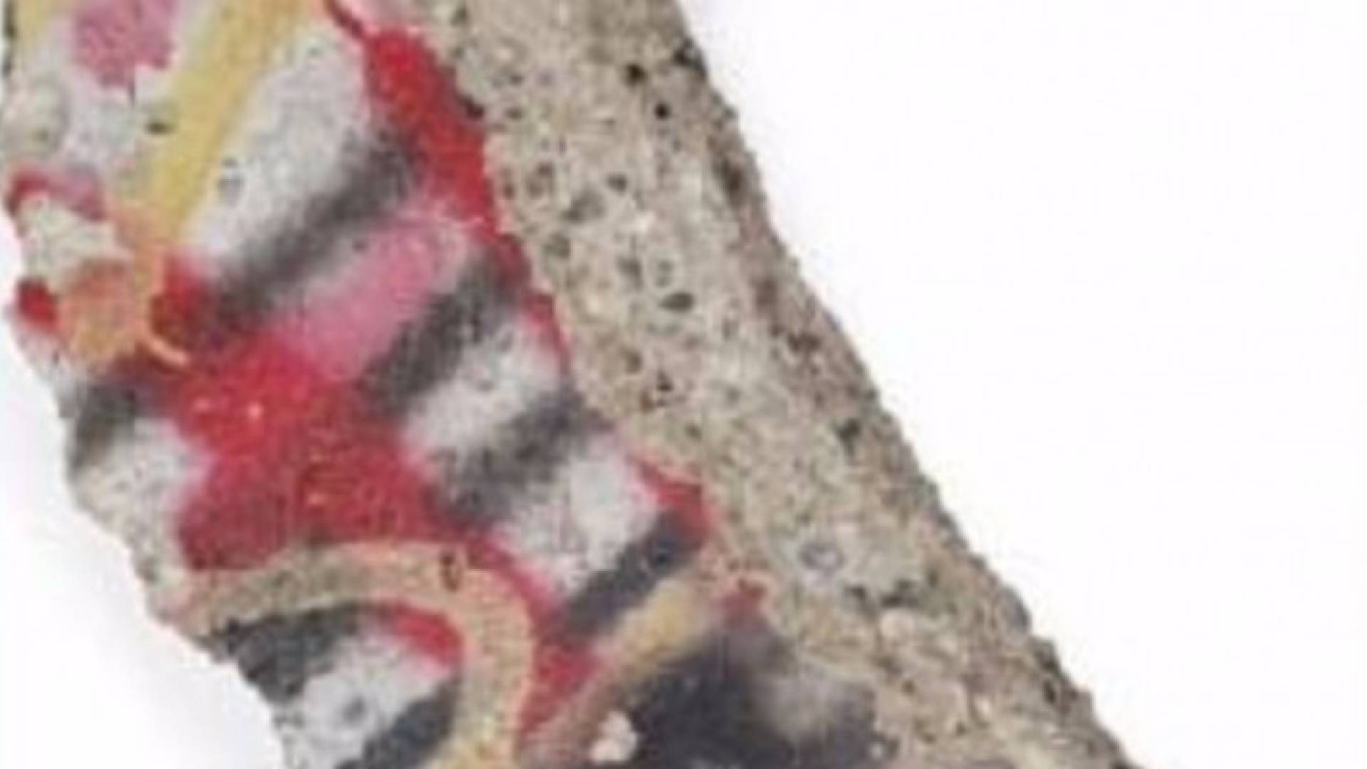 قطعة من جدار برلين للبيع.. فكم سعرها؟