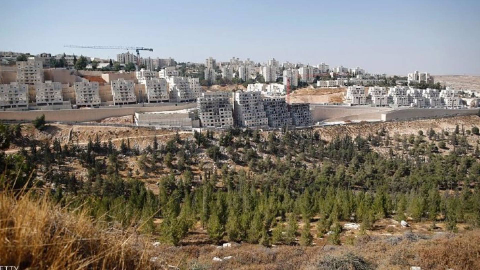 446 وحدة استيطانية جديدة في الضفة الغربية