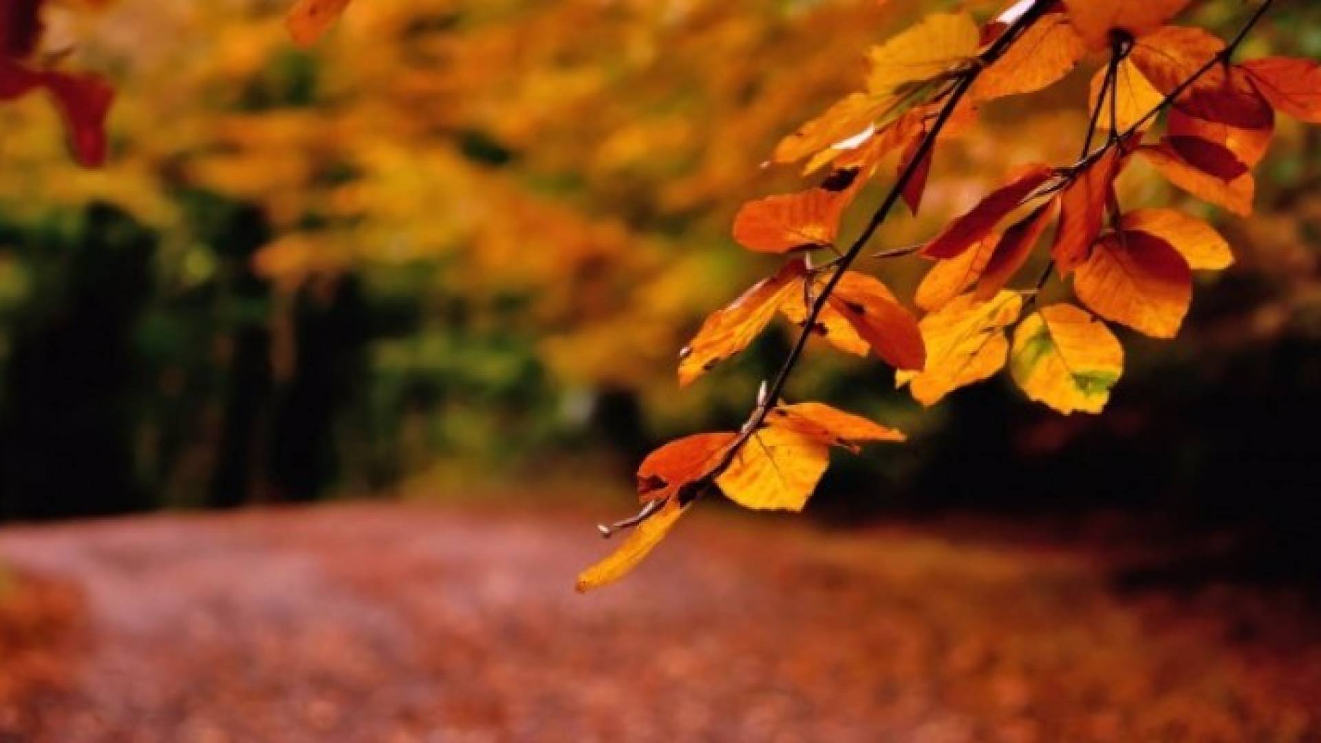 أيلول .. شهر انهيار الصيف وبوادر المطر