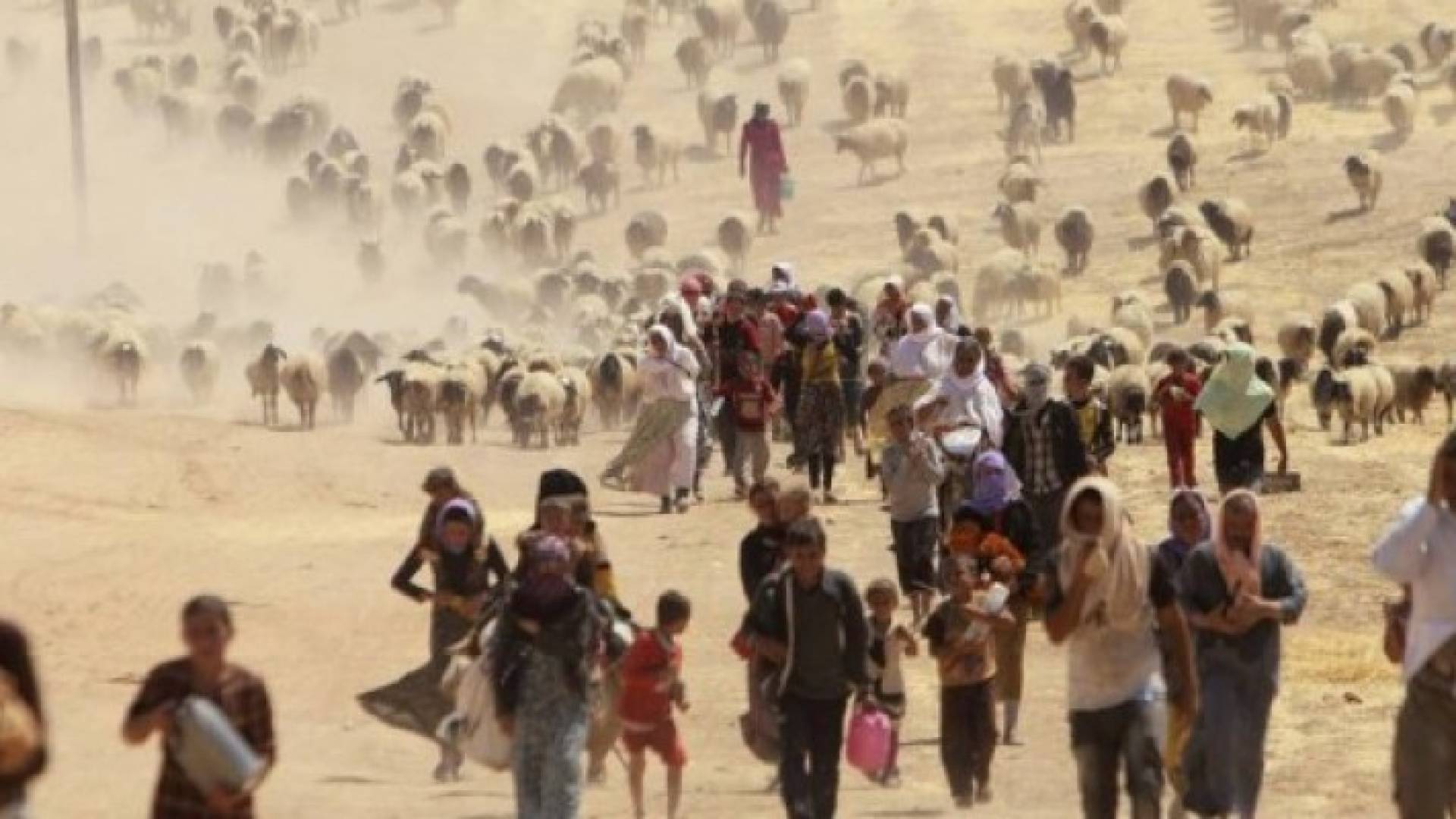 الصورة ارشيفية