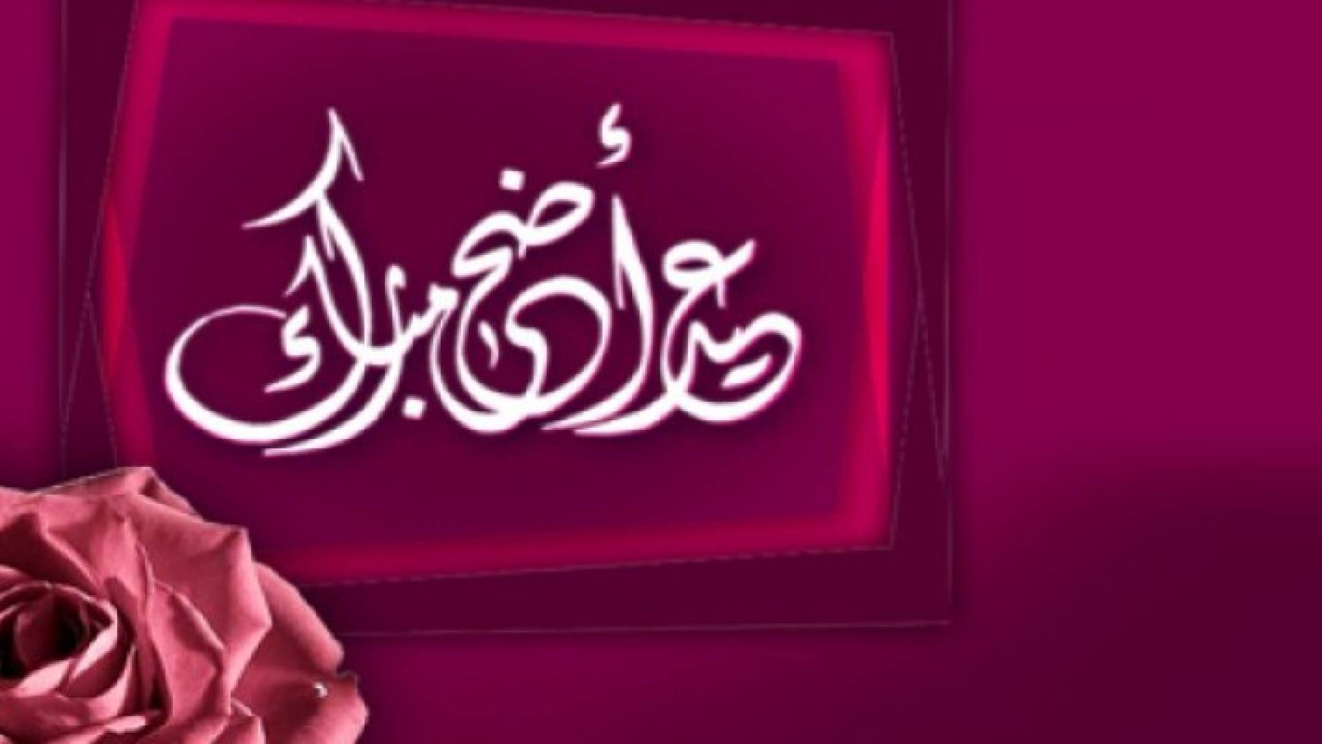 ترجيح اعلان عطلة عيد الاضحى من صباح الاحد وحتى مساء الخميس