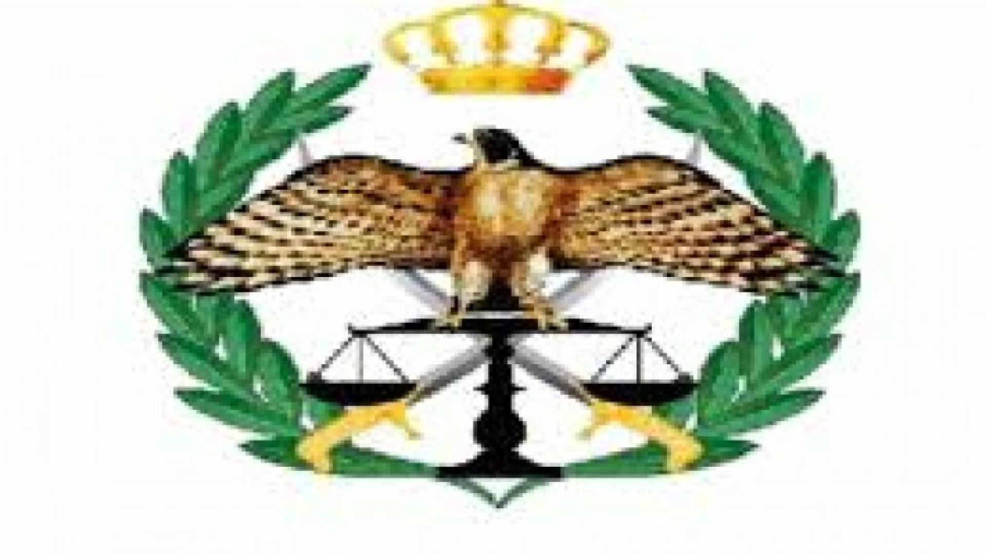الامن العام يحقق بصحة فيديوهات لمطلقي عيارات نارية