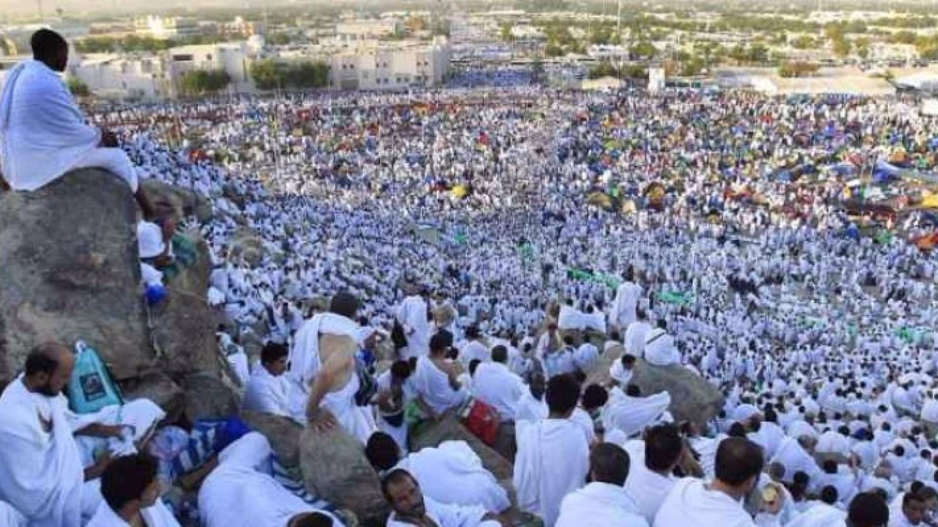 وزير الاوقاف: بعض الحجاج لم يكشفوا عن حالاتهم الصحية والامراض