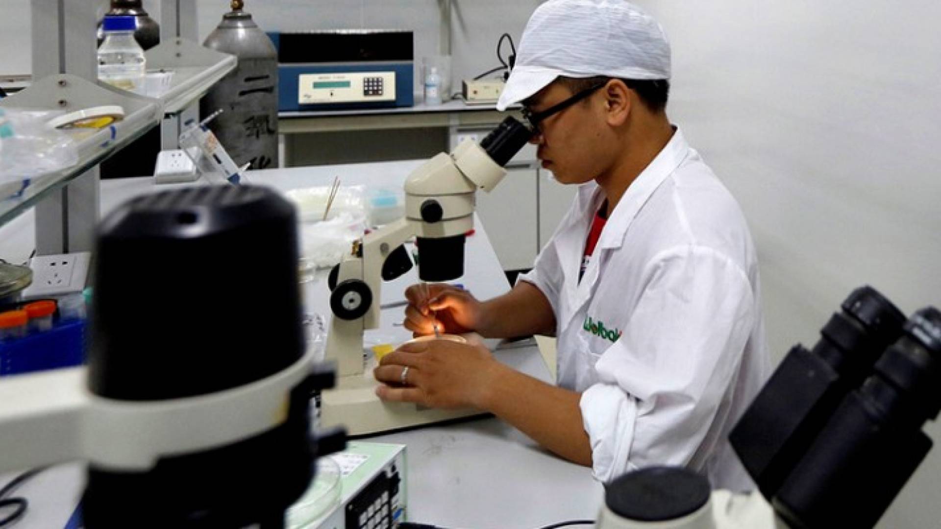 فيروس زيكا يمكن أن يدمر ذاكرة البالغين